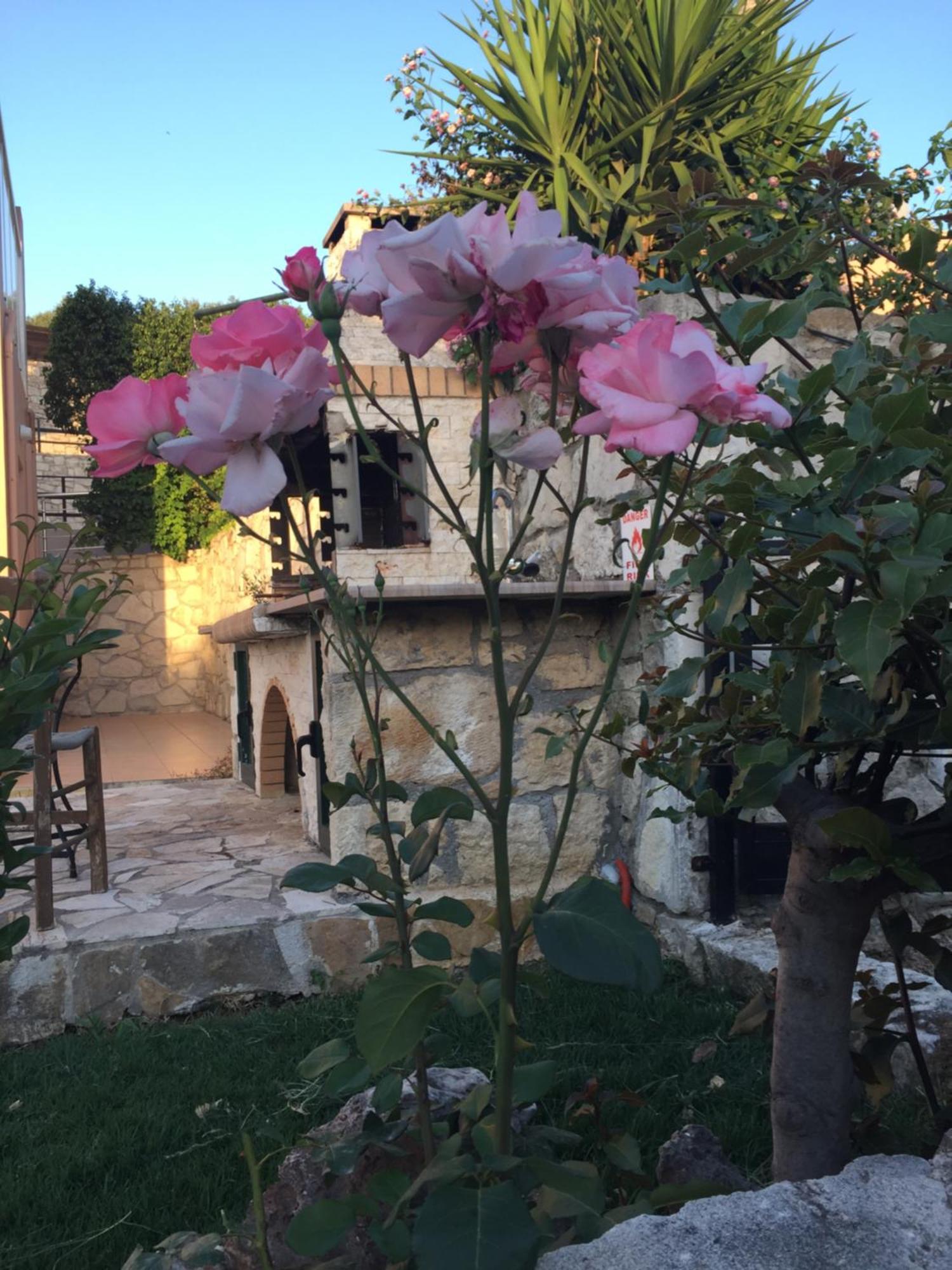 Meliades Villas Agia Marina  Bagian luar foto